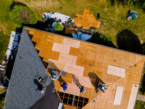 Roof Gutter Cleaning in Colfax, CA