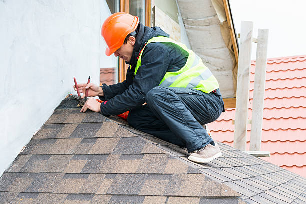 Best Roof Maintenance Services  in Colfax, CA